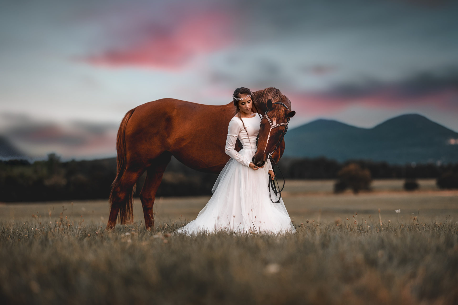 esküvő, esküvő fotó, lovas fotó